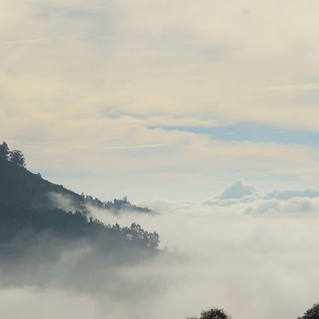 Hide Away Cottages Ooty Exterior foto